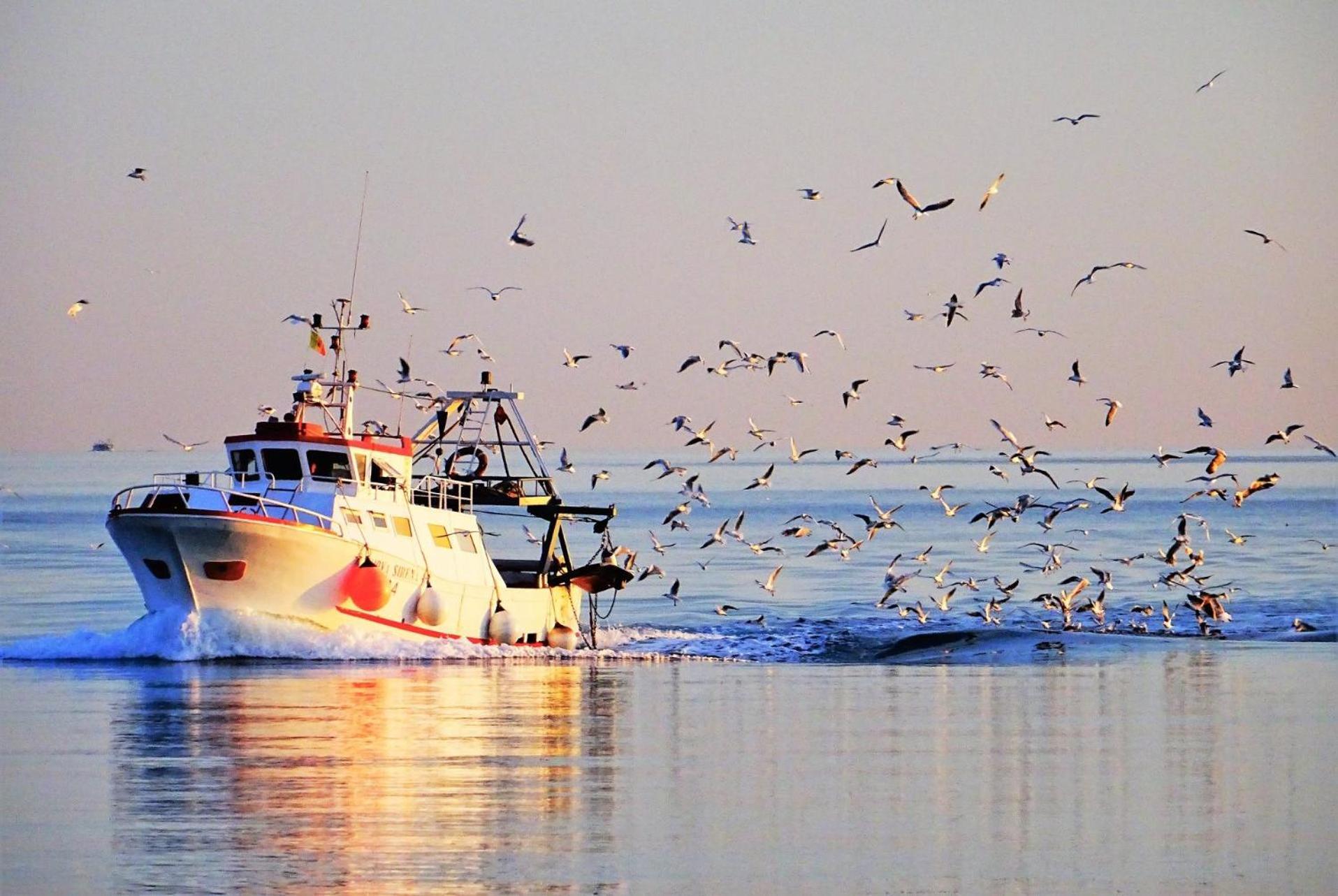 La Casa Del Pescatore N 33 - Porto Di St Spirito 巴里 外观 照片